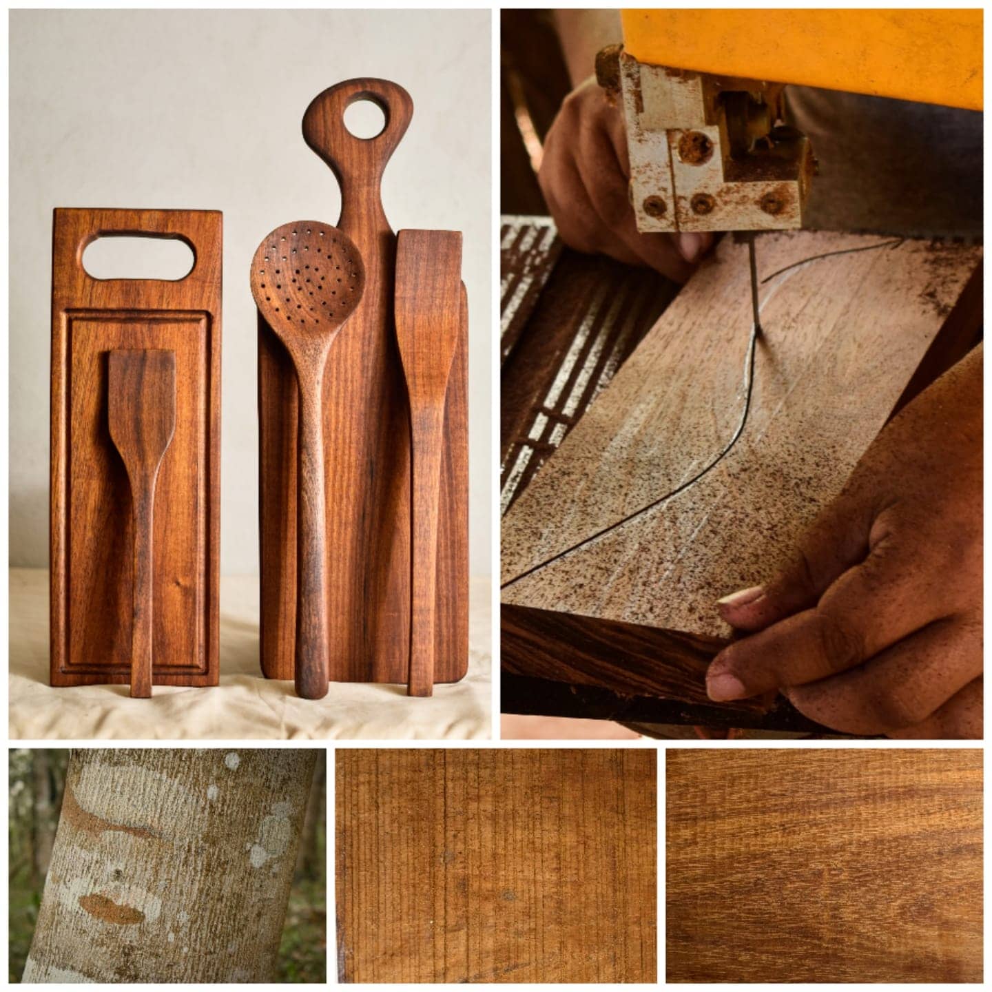 355021575_955028482427505_6196466715780681980_n